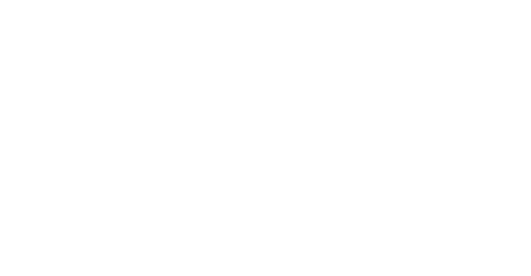 Cyber Incident Response Standard Level (1)