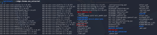 Figure 4 – Extracted Python scripts and dependencies from the infostealer.