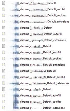 Figure 9 – Output of Infostealer