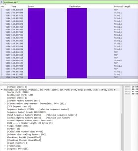 Shows the Wireshark traffic which was active when interacting with the Desktop Application