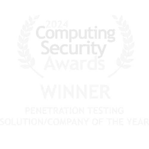 Penetration Testing Solution of the year 2024 (1)