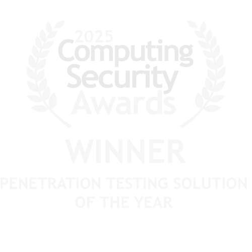 Penetration Testing Solution of the year 2025