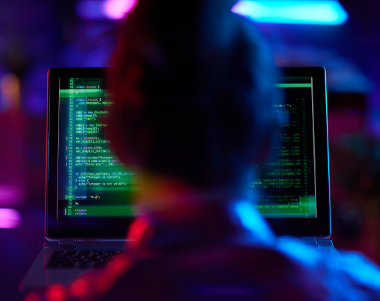 Ransomware Attack Case Study