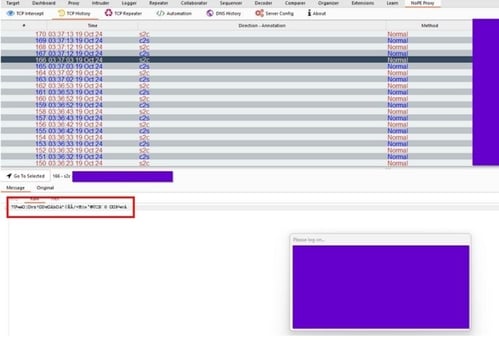 Shows a snippet of the encrypted traffic