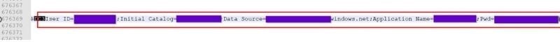 Shows the connection string with an obfuscated password