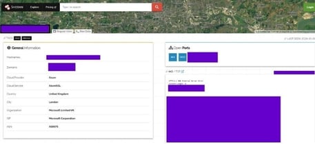 Shows the service in Shodan