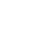 sportstradar logo